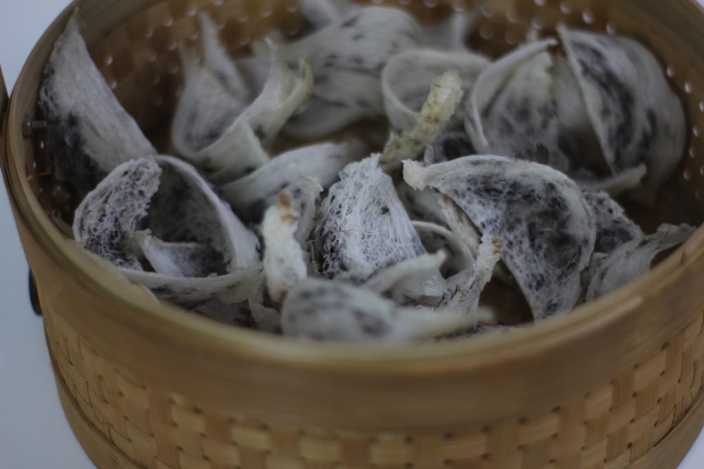 在自己的燕子楼里制作燕子窝: 程序和维护